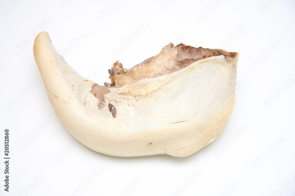 Fototapeta premium langue de boeuf