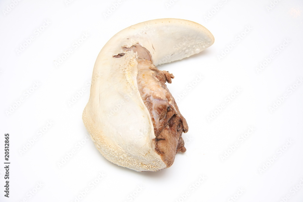 Fototapeta premium langue de boeuf