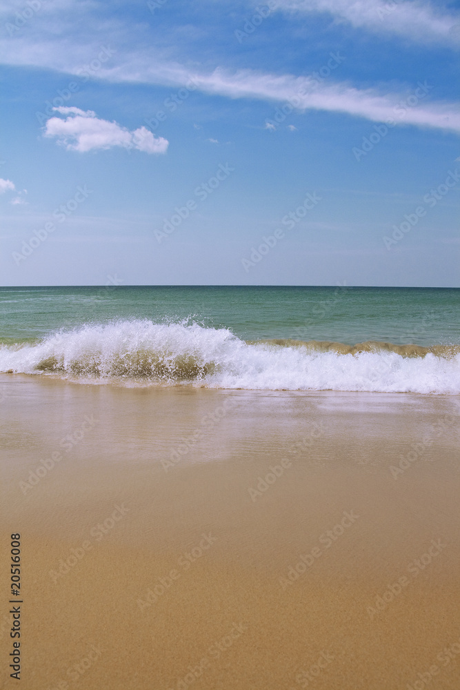 Fototapeta premium Sea beach and wave