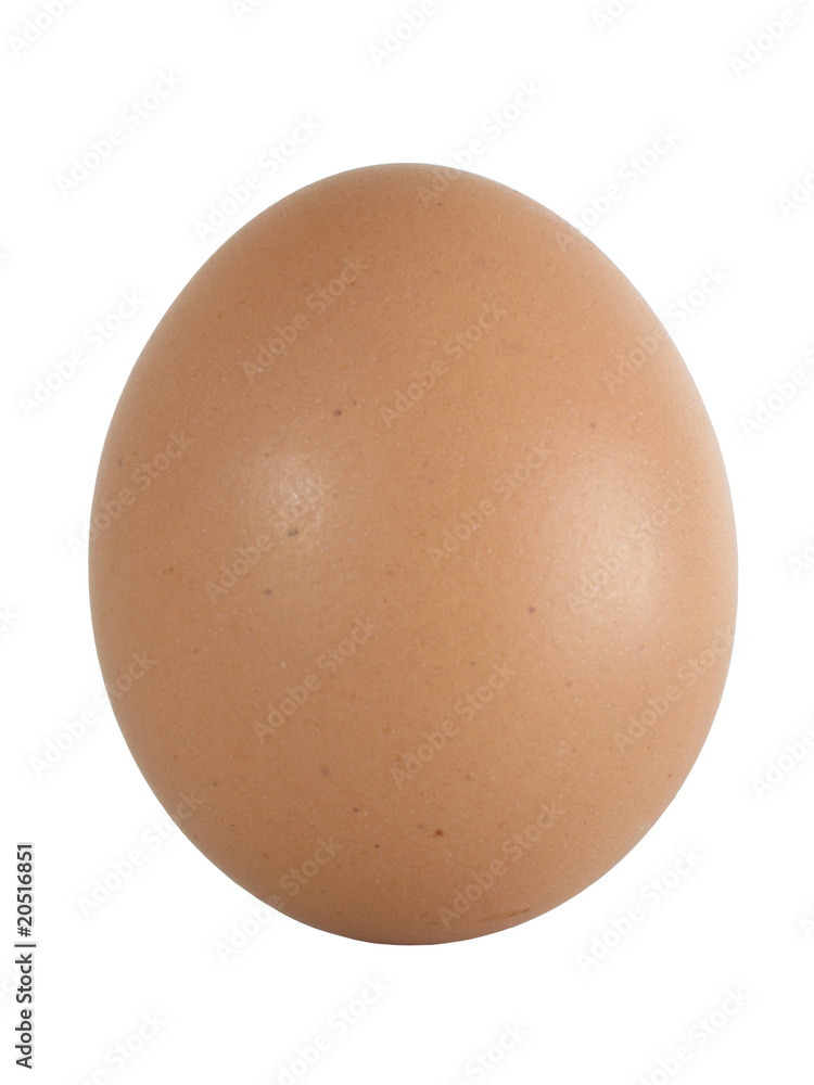 Egg on white background Egg on white background