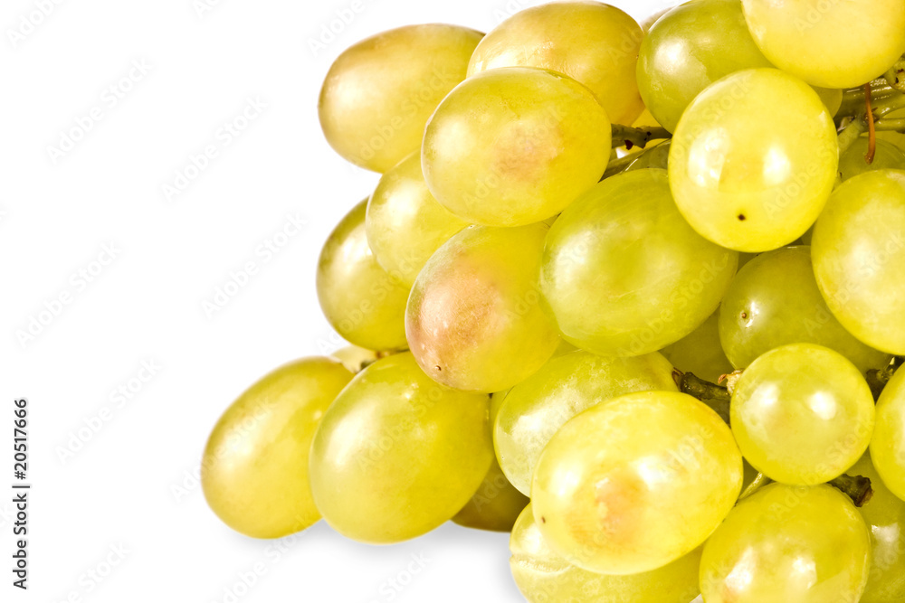 The branch of grapes