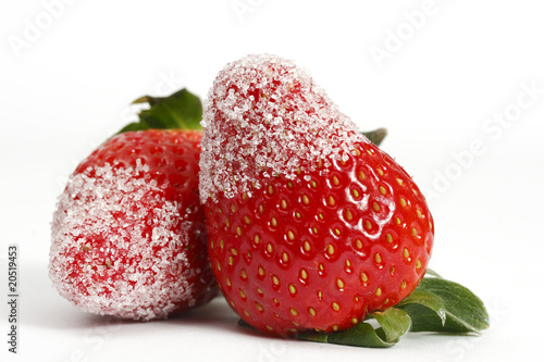fraises au sucre photo