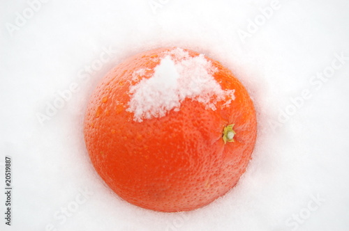 Pomarańcza na śniegu