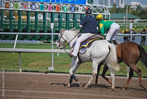 Racehorse Being Lead to the Starting Gate
