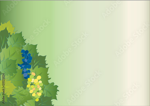 Hintergrund mit Rebstock