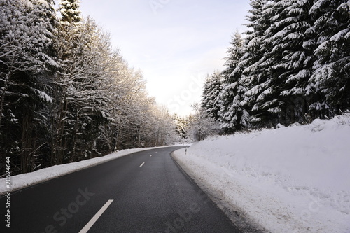 Landstrasse im Winter 2