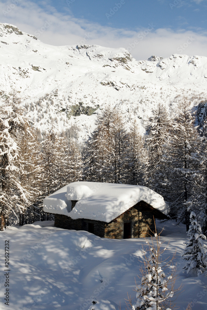 Fototapeta premium vecchia baita - Alpe Palù - Valmalenco - Italy