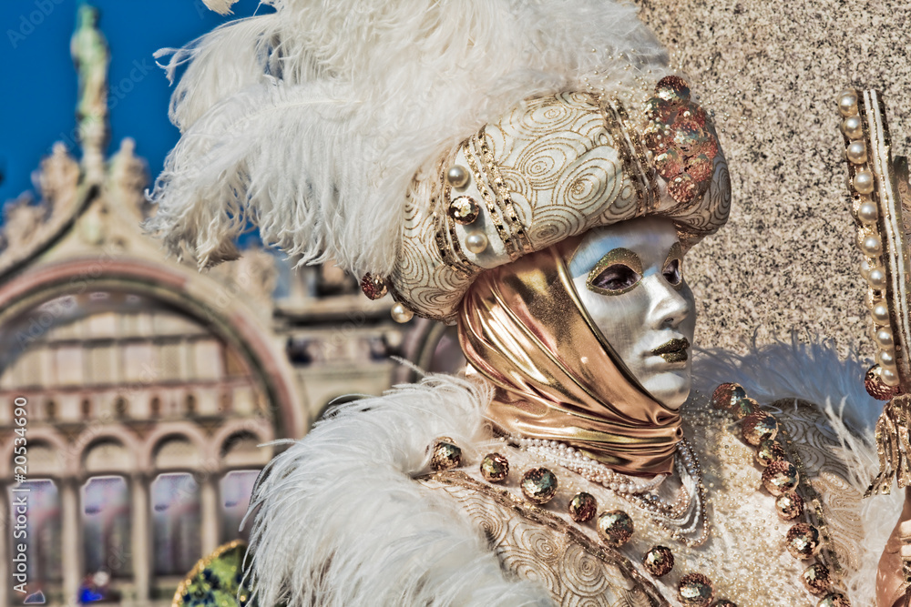 Obraz premium Carnival Venice