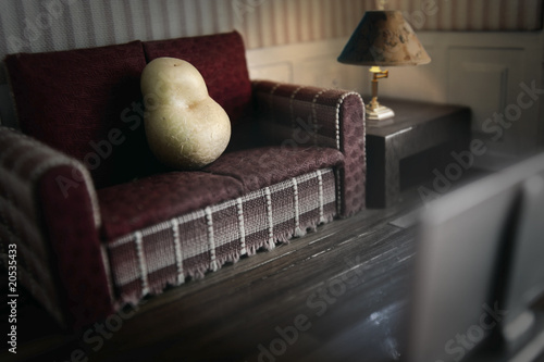 Couch Poatoe photo