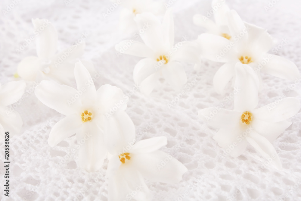 wedding background. wedding background.