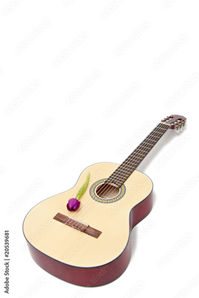 Obraz premium a yellow acoustic guitar isolated on white