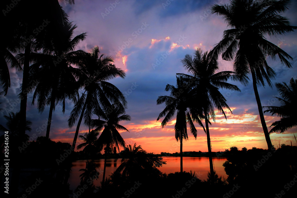 Sunset on Wild Beach with Palm Trees