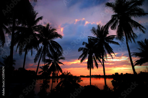 Sunset on Wild Beach with Palm Trees