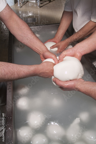 Mozzarella di bufala