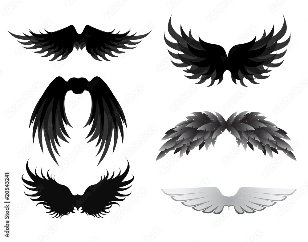 wing collection wing collection