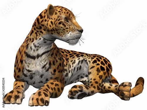 Jaguar