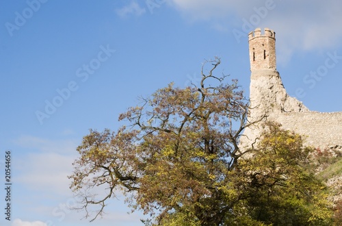 tower of castle devin - slovakia photo