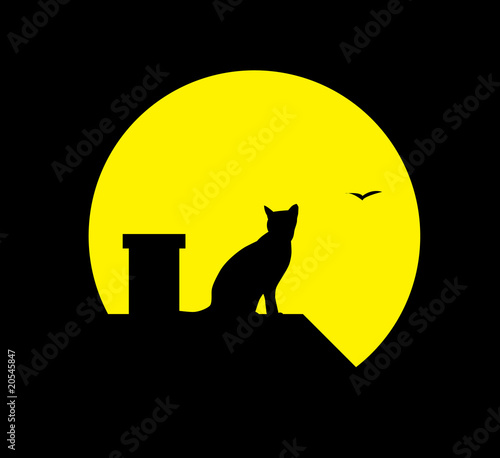 cat at the moon