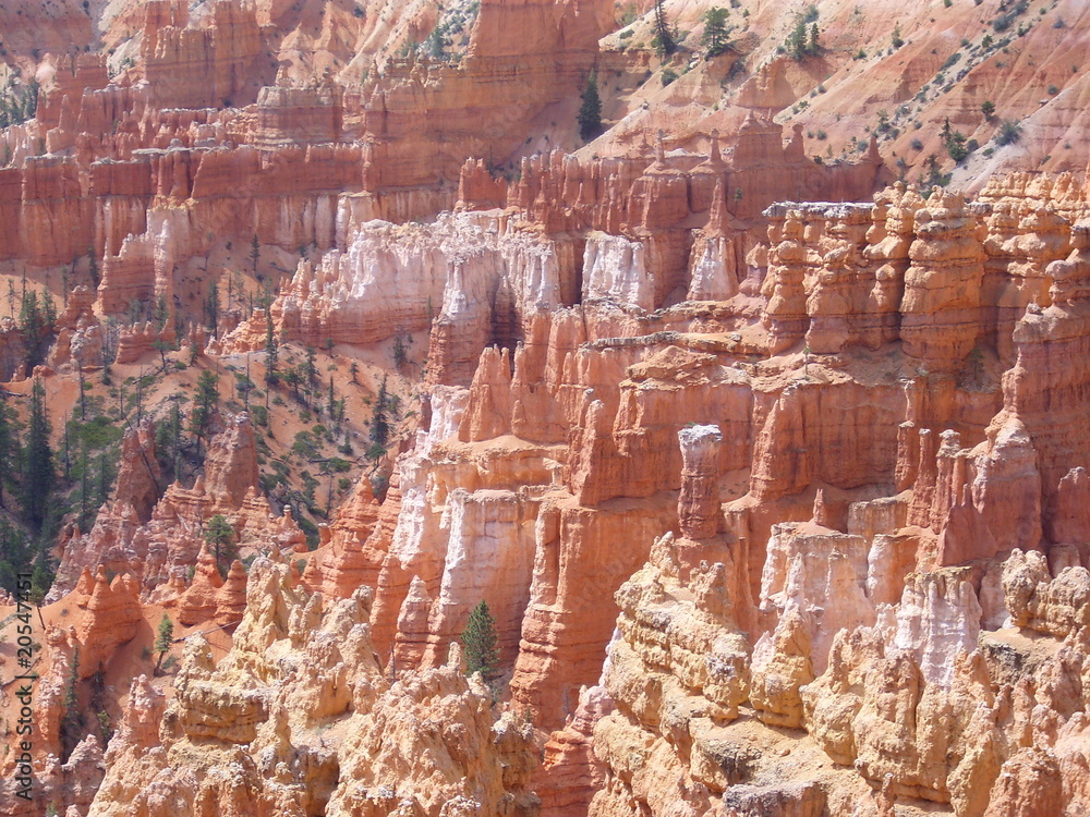 Land of grag in Bryce Canyon Land of grag in Bryce Canyon