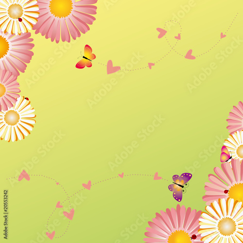 Fototapeta Naklejka Na Ścianę i Meble -  Springtime frame flowers butterflies ladybirds