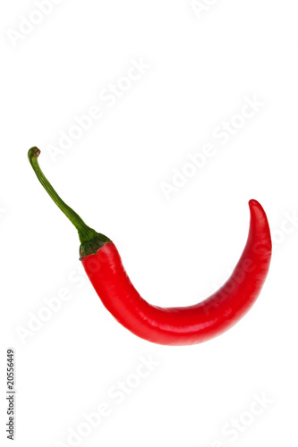 A red hot chilli pepper on white background.