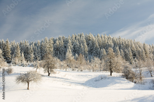 Winter landscape © Smailhodzic