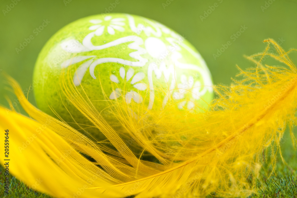 Egg Egg