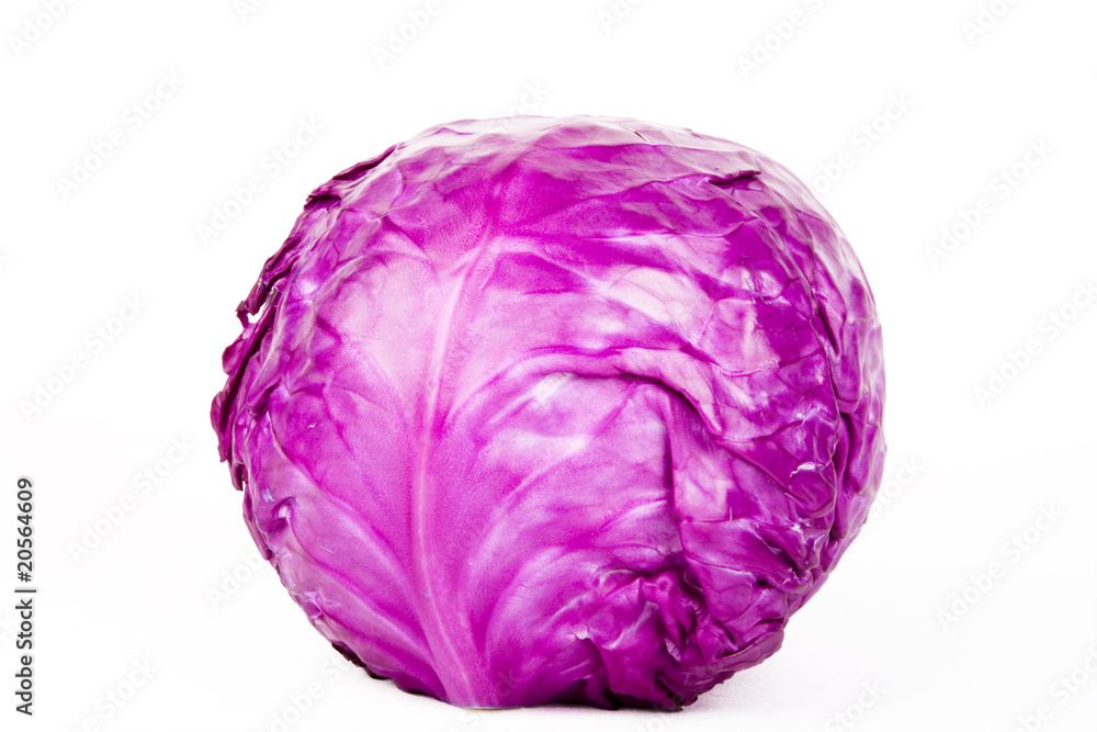 Purple Cabbage Purple Cabbage