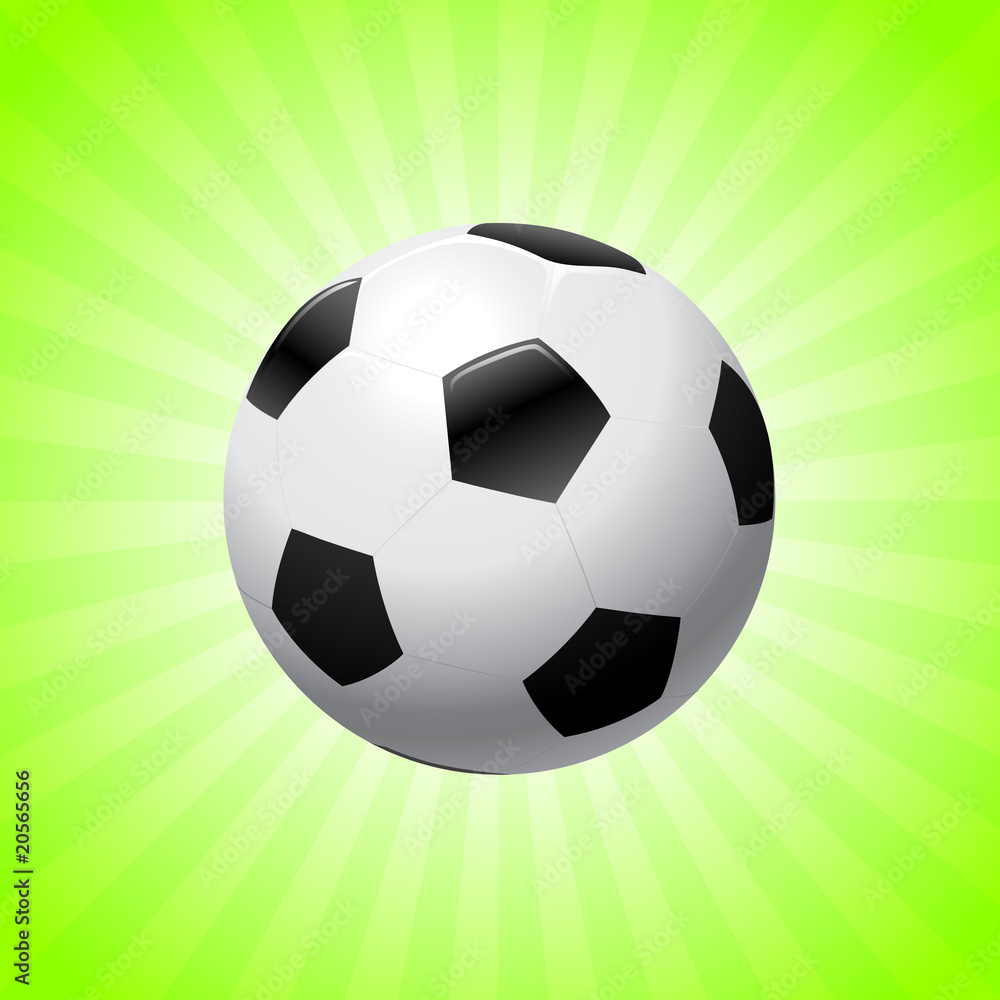 Obraz premium World Cup 2010 Soccer Ball