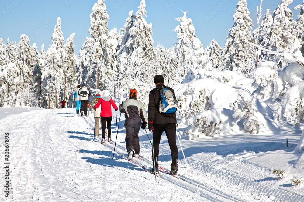 Obraz premium Ski Langlauf 4594