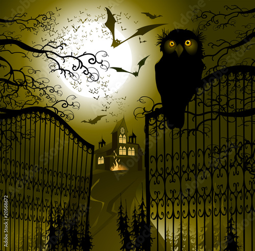 Landscape with gate and owl.