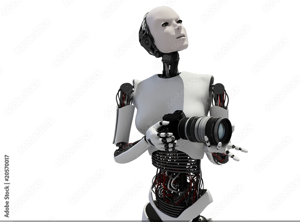 The robot The robot