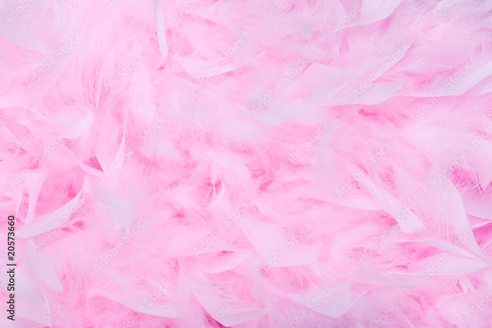 Pink feather boa background Pink feather boa background