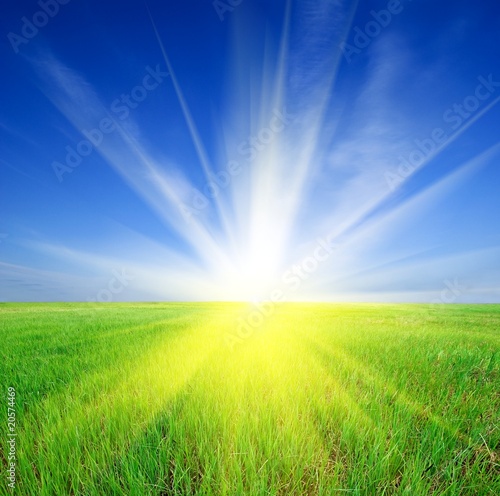 sparkle sun rising in a green field