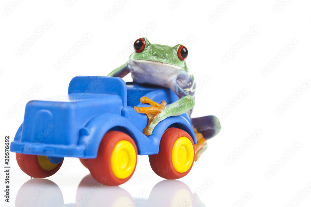 Naklejka premium Car toy and crazy frog