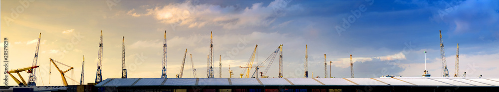 Cranes skyline