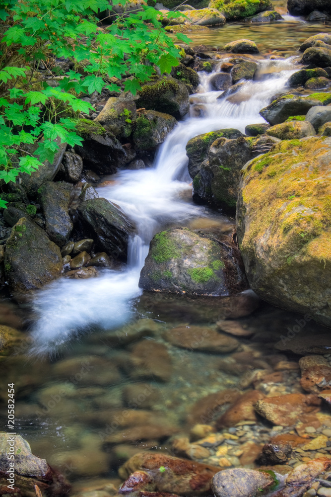 Bunch Creek Falls