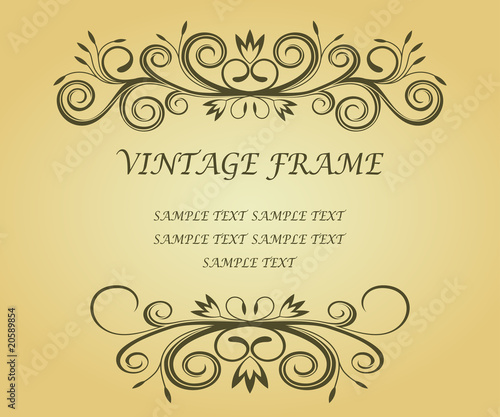 Vintage frame for design