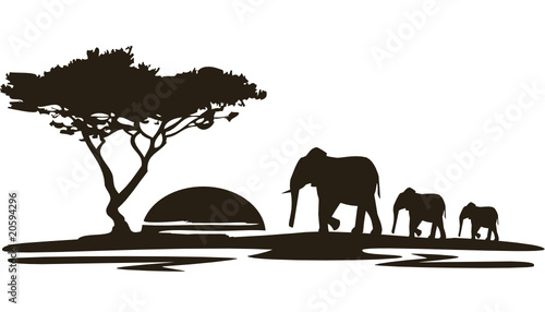Natur2010Afrika