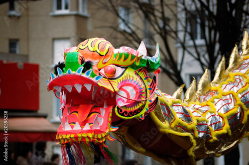 nouvel an chinois - dragon