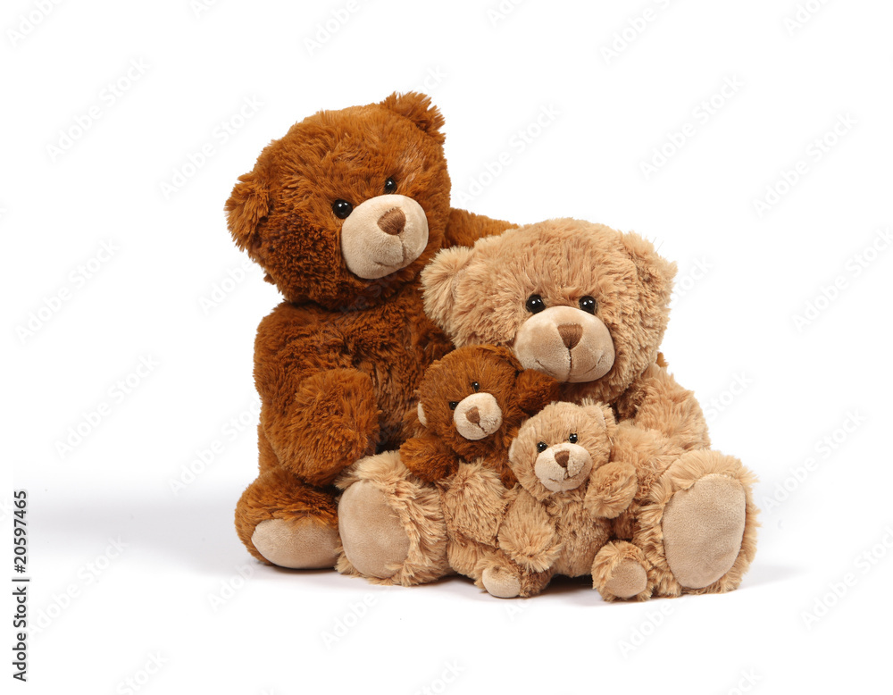 famille ourson famille ourson