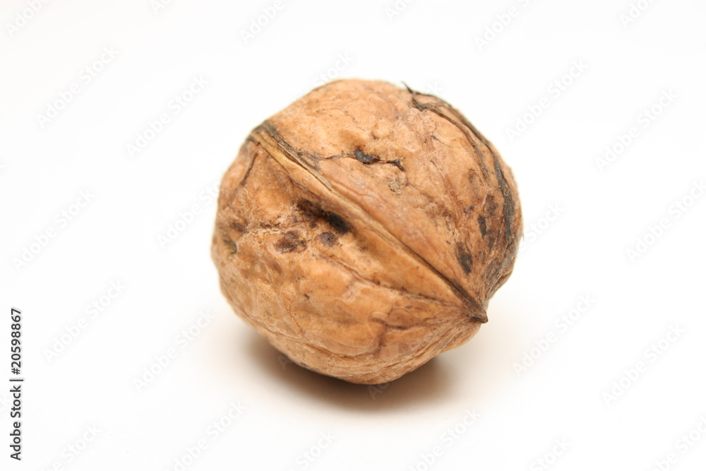 Une noix Une noix