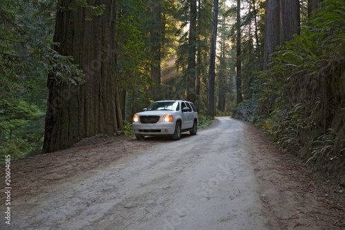Straße Redwood Nationalpark