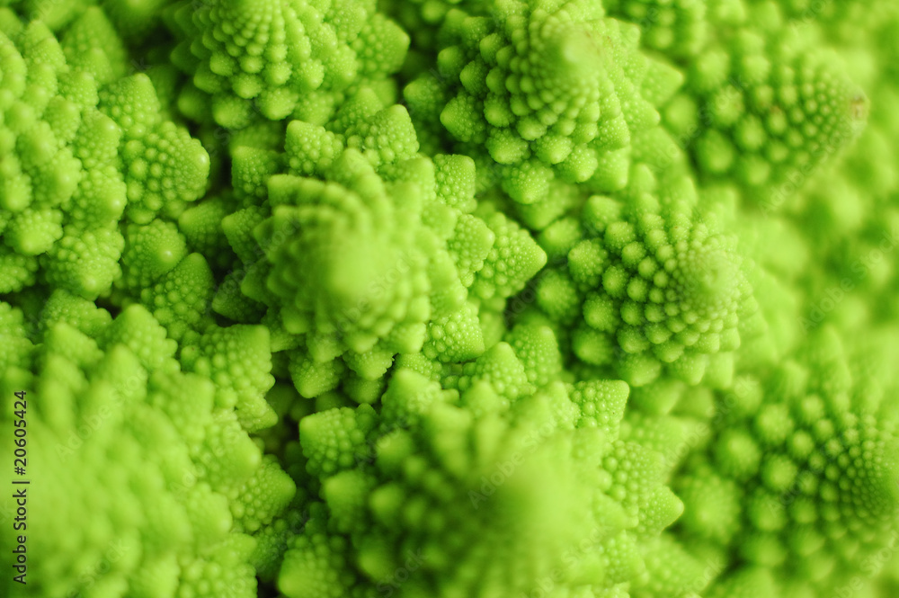 Choux Romanesco Choux Romanesco