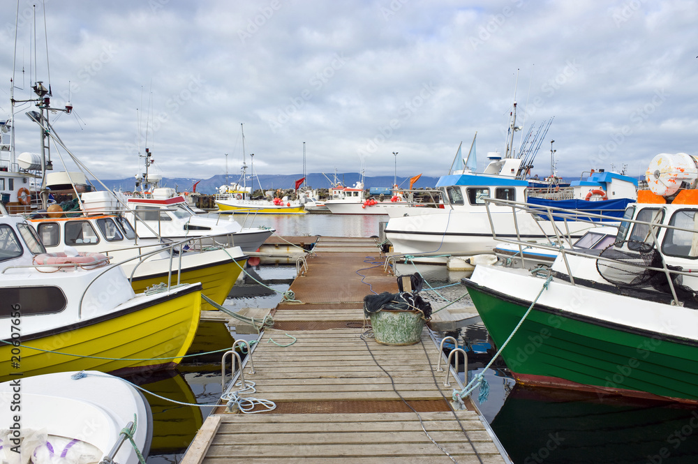 Arctic Fishing Fleet