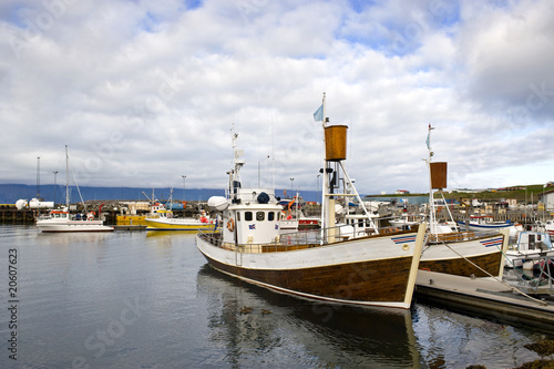 Arctic Whale Watching Harbor photo