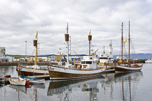 Whale Watching Fleet photo