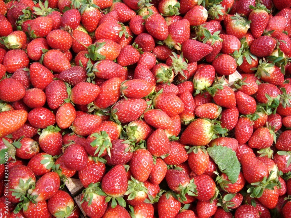 Strawberry Strawberry