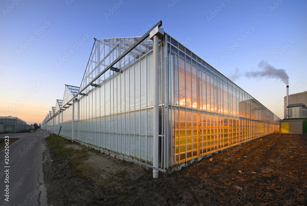 Obraz premium Glasshouse at dusk
