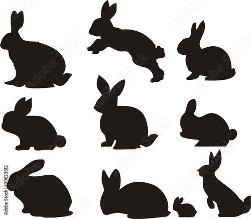 rabbit silhuotte